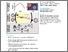 [thumbnail of 1-s2.0-S0092867421009843-main]