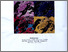[thumbnail of 236438_vol1.pdf]