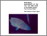 [thumbnail of TDaw-2003-live-reef-fish-trade-report.pdf]